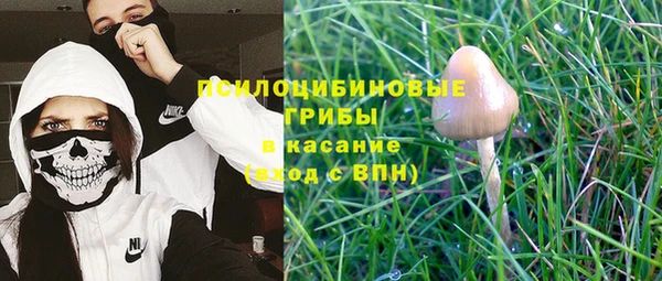 стафф Краснослободск