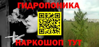 мяу мяу мука Беслан