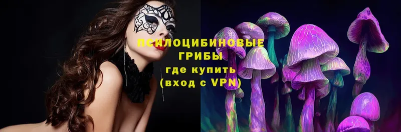 shop телеграм  Ноябрьск  Псилоцибиновые грибы мухоморы  OMG  